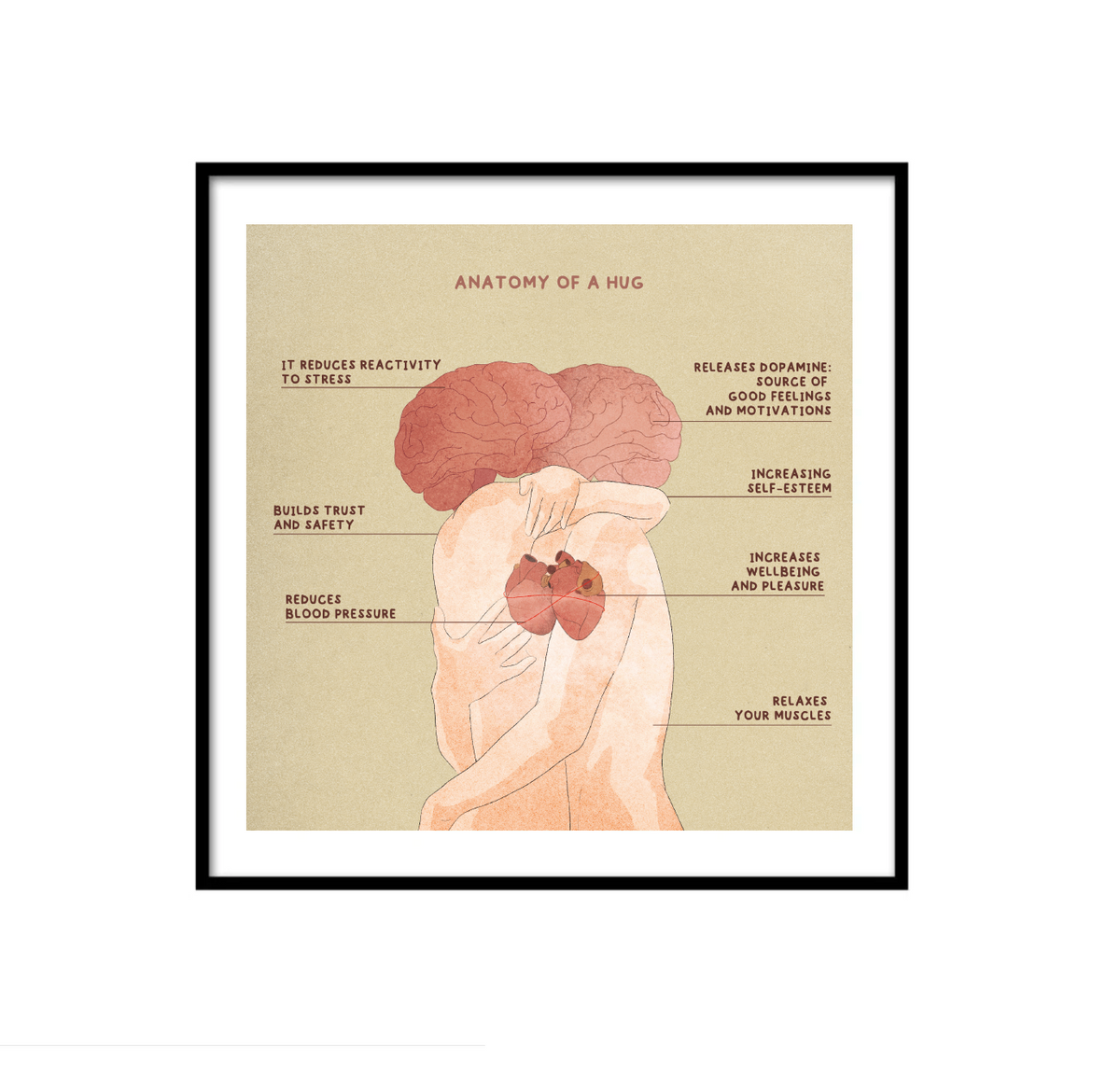 Anatomy Of A Hug Stay hop anatomy-of-a-hug-stay-hop