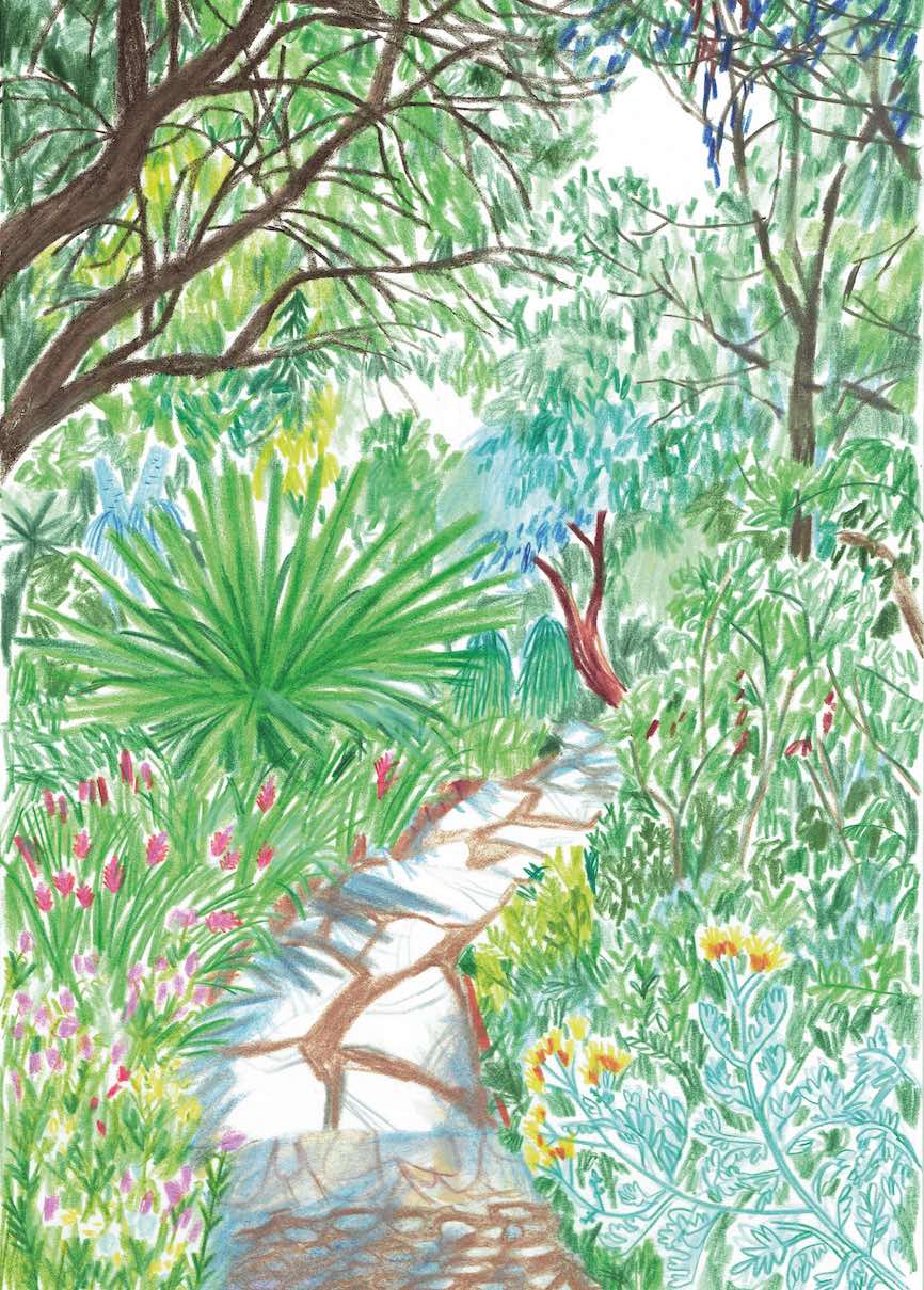 Il giardino delle palme